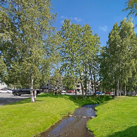 a serene park scene here at russian jack apartments with a narrow stream winding through lush green grass. tall trees provide shade under a clear blue sky, creating a peaceful atmosphere.