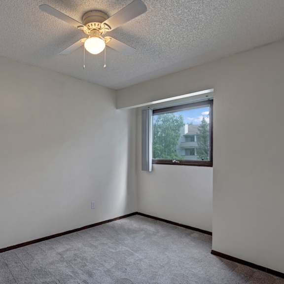 small, empty room here at russian jack apartments with light gray walls, a ceiling fan, and a window showing trees outside. carpeted floor adds a cozy feel. bright, serene atmosphere.