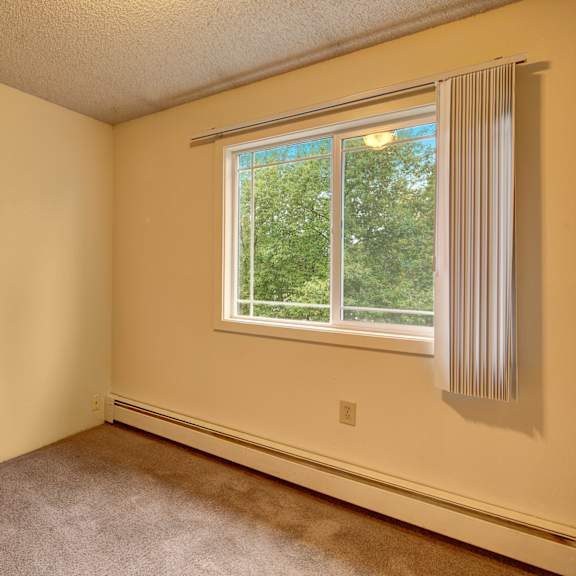 empty bedroom here at taiga apartments with beige walls, carpeted floor, and a large window with vertical blinds. the window reveals lush green trees outside, conveying tranquility.