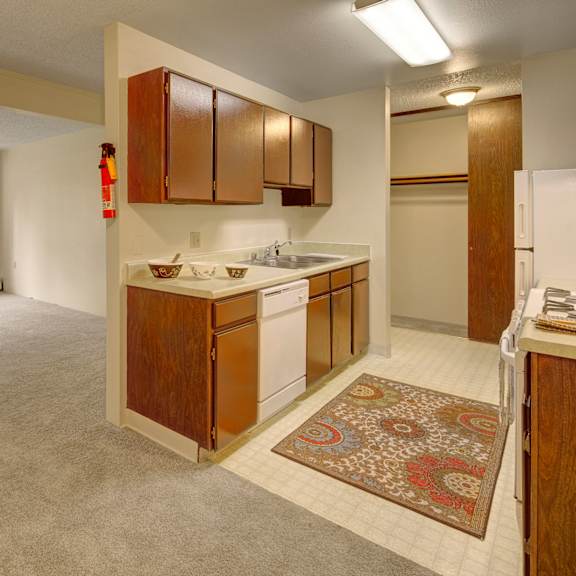 cozy apartment interior here at taiga apartments with beige carpet and a bright, airy feel. kitchen has wooden cabinets, a colorful rug, natural light from a large window.