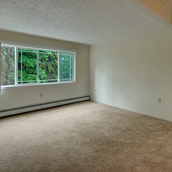 an empty room here at taiga apartments with beige carpet and white walls features a large window showing green trees outside. a hallway with shelves is on the right, under soft lighting.