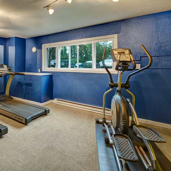 small gym here at terrace on the lake apartments with bright blue walls, featuring two treadmills and an elliptical machine. a large mirror and window provide natural light. clean and inviting atmosphere.