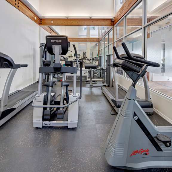 modern gym here at the highlands luxury apartments with treadmills, stationary bike, and workout equipment. natural light streams through the large windows, creating an airy and motivating atmosphere.