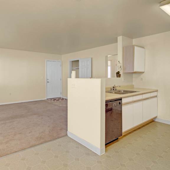 compact apartment interior here at timber ridge apartments with beige walls and carpeted living area. open kitchen features white cabinets and a stainless steel dishwasher. bright and clean.