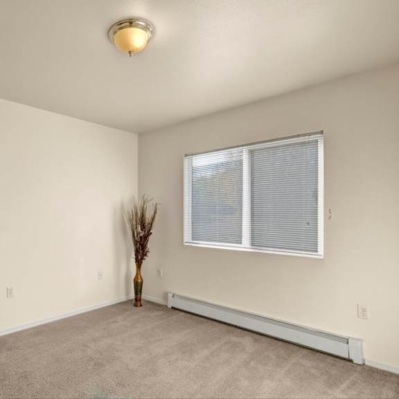 empty bedroom here at timber ridge apartments with beige carpet and white walls. a large window with blinds allows soft light in. a decorative vase with tall grasses in the corner.
