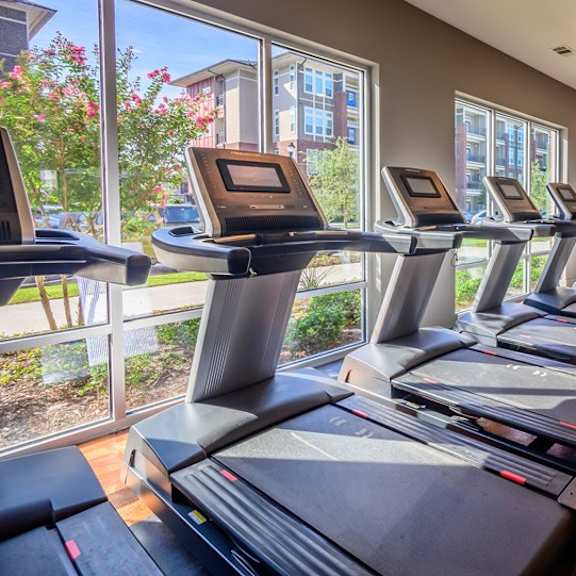a row of treadmills in a gym with a view of the outside.