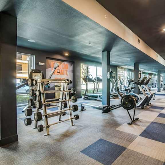 a spacious fitness center here at harmony luxury with free weights, strength machines, and cardio equipment arranged in an open layout, complemented by large windows, modern lighting, and a motivating, energizing atmosphere for residents.