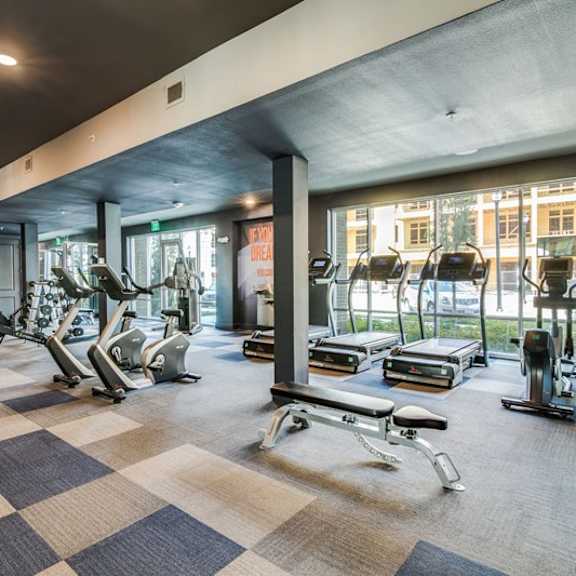 a modern fitness center here at harmony luxury with treadmills, stationary bikes, free weights, and strength equipment, featuring an open layout, large windows, and contemporary lighting that creates an inviting and motivating workout environment.