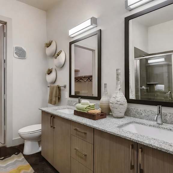 a bathroom here at skyline farmers market with a double-sink vanity, light wood cabinets, gray stone countertop, black framed mirrors, glass shower, and open walk-in closet visible beside the toilet.