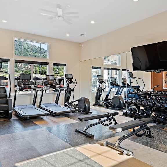 a modern fitness center here at autumn haus featuring rubberized flooring, multiple treadmills and cardio machines positioned near large windows, a full rack of free weights with adjustable benches, mirrored walls for workout visibility, a wall-mounted television, and high ceilings with recessed lighting creating a bright and energizing workout space.
