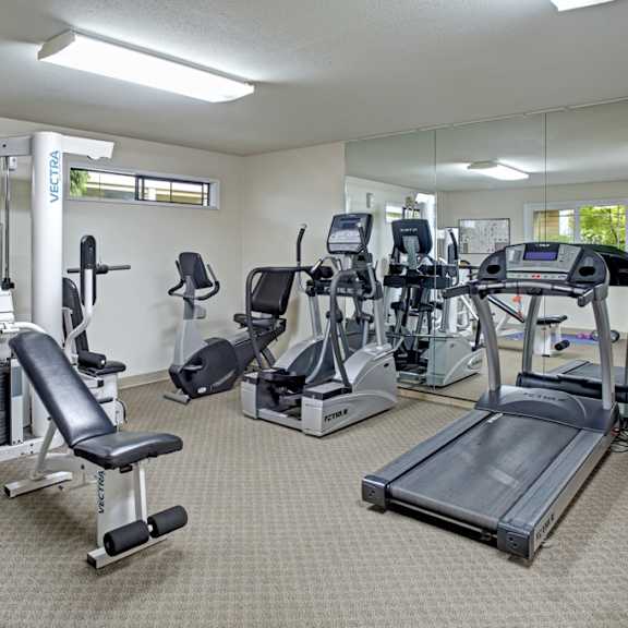 a gym with a variety of equipment including treadmills, stationary bikes, and weight machines.