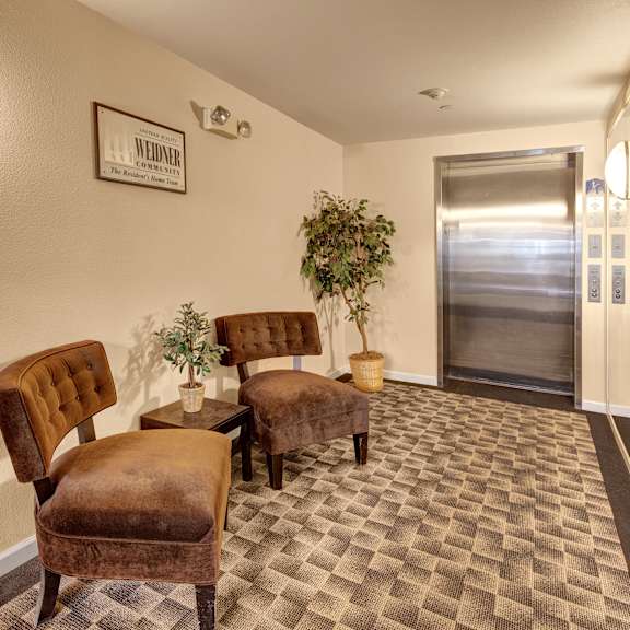 lobby scene at admirals  cove apartments featuring two brown chairs and potted plants on a patterned carpet near a metallic elevator. soft lighting creates a warm, welcoming atmosphere.
