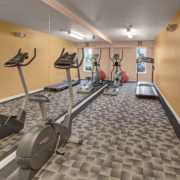 a small gym with yellow walls and checkered carpet features a treadmill, two elliptical machines, and an exercise bike. a large mirror reflects the equipment, adding depth. natural light streams through two windows. located at admirals cove apartments.