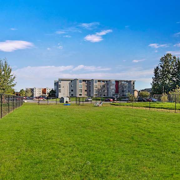 wide grassy dog park with chain-link fences, bordered by trees on the left. the alpine apartments and cars in the background under a clear blue sky.