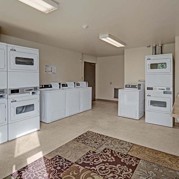 a bright laundromat at the alpine apartments with stacked white washers and dryers lining the left and back walls. a patterned carpet and utility sink are visible, creating a tidy, functional space.