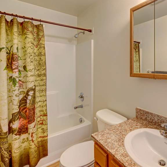 small bathroom with a textured countertop, a white sink, and a mirrored cabinet. a shower with a floral and butterfly curtain adds a warm touch. amber ridge apartments.