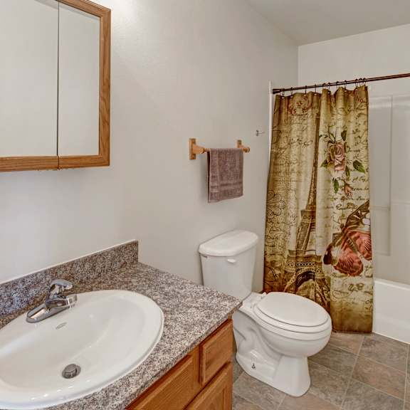 a clean, spacious bathroom with beige walls and tiled floor. features a granite countertop with sink, wooden cabinet, patterned shower curtain, and toilet. amber ridge apartments.