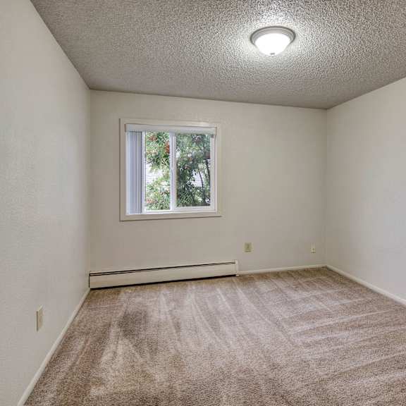 empty bedroom with white walls, beige carpet, and a small window showing greenery outside. ceiling light provides a neutral, clean atmosphere. arctic sun apartments.