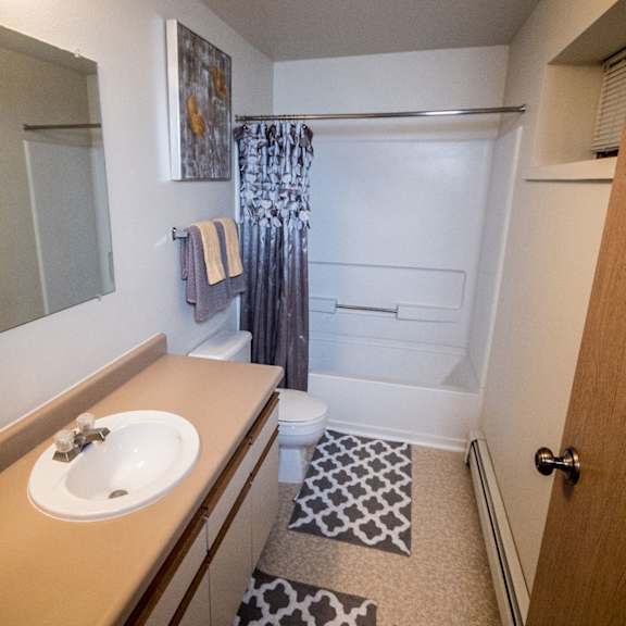 a small bathroom here at birchwood homes apartments with a sink and beige countertop, a large mirror, gray patterned rugs, and a shower with a gray curtain. the atmosphere is clean and orderly.