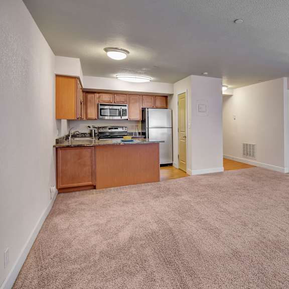 open-plan apartment here at city view apartments with beige carpet, white walls, and a small kitchen. the kitchen has wooden cabinets, stainless steel appliances, and a cozy atmosphere.