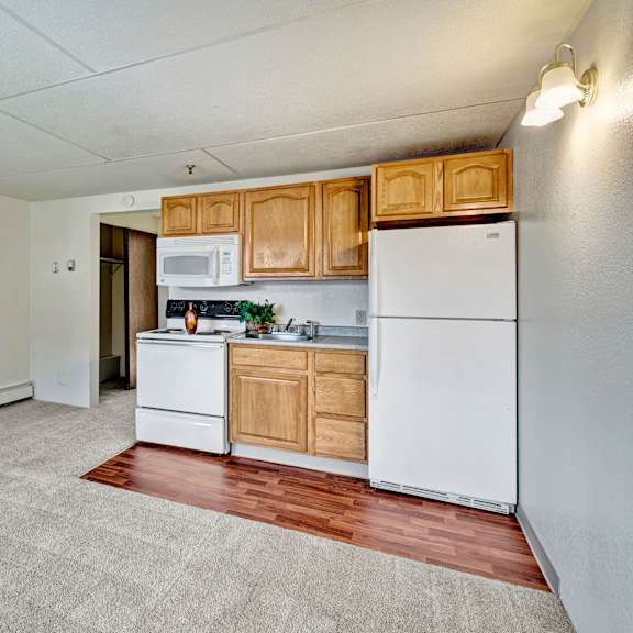 compact studio apartment here at college view apartments with light carpet and a small kitchen. features wooden cabinets, white appliances, and a bright, minimalistic design.
