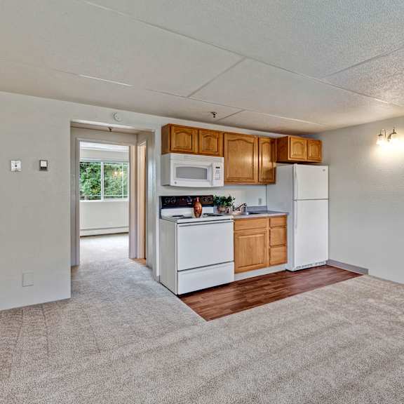 small kitchen here at college view apartments in an apartment with wooden cabinets, white appliances, and beige carpeting. a window brightens the adjacent room, adding warmth.