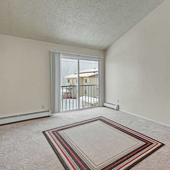 empty living room here at conifer grove apartments with beige carpet and a square rug. a sliding glass door opens to a snowy view. neutral walls and a closet add a minimalist feel.