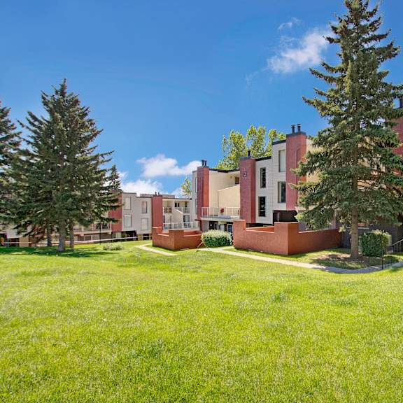 modern 3600 brentwood apartment homes complex with red and beige buildings surrounded by lush green grass and tall pine trees under a clear blue sky. tranquil atmosphere.