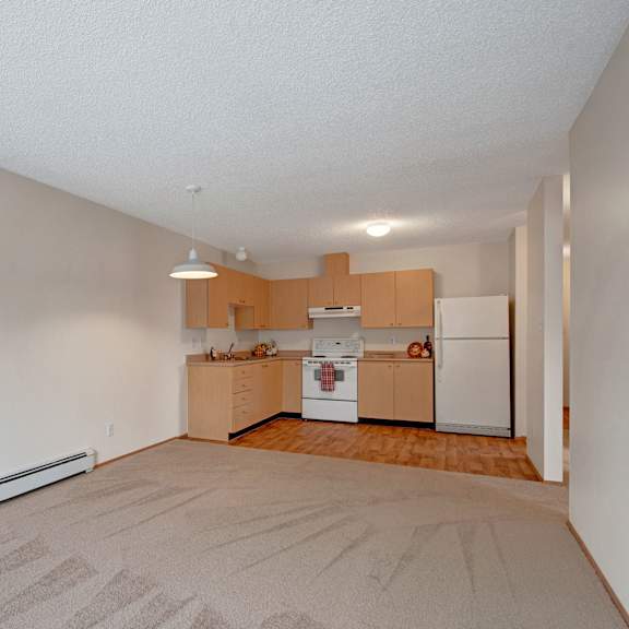 spacious, bright kitchen and living area here at birch terrace apartment homes with light wood cabinets, white appliances, and a cozy carpeted floor. a pendant light adds warmth.