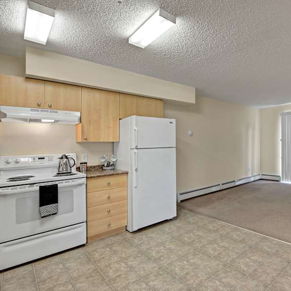 simple kitchen here at birch terrace apartment homes with white appliances, light wood cabinets, and a small counter. adjacent is a carpeted living area with vertical blinds and decorative vases.