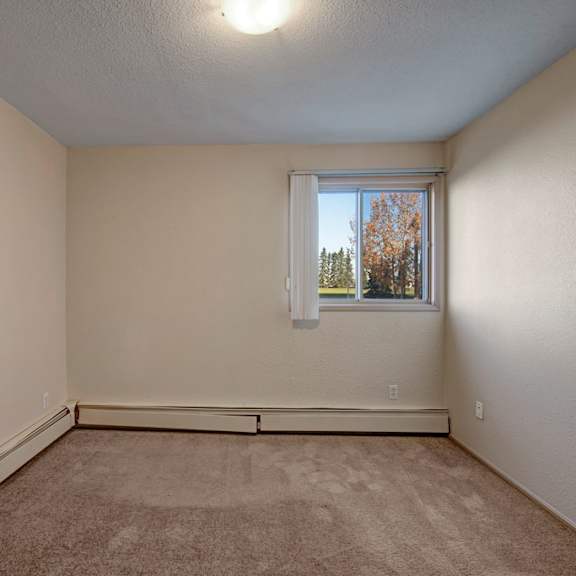 empty bedroom here at cedar gardens apartment homes with beige carpet and walls, a ceiling light, and a window with a view of trees. the space is minimalistic and well-lit.