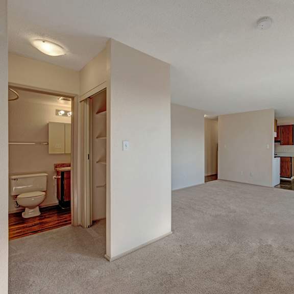 spacious, unfurnished apartment here at cedar gardens apartment homes with beige carpet, open living area, large windows, and an adjacent kitchen. bathroom visible to the left. bright, inviting tone.
