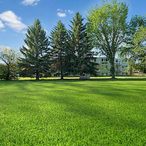 sunny day with a vast green lawn bordered by tall trees near gateway gardens apartment homes. in the background, a white apartment building is partially visible, conveying serenity.