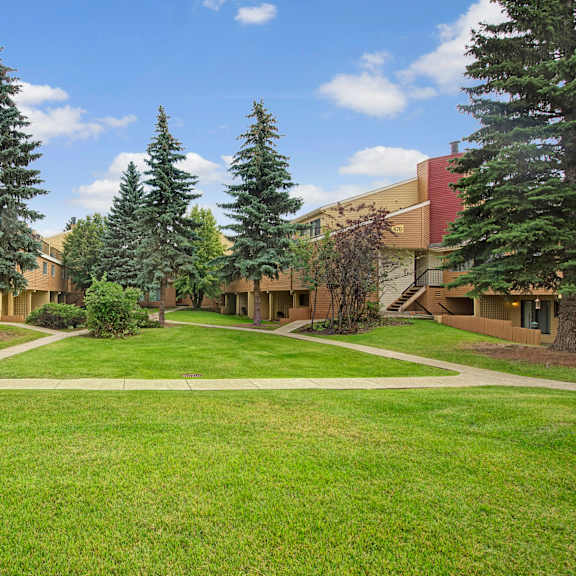 green courtyard here at lakewood heights apartment homes with lush grass, surrounded by tall pine trees and two-story beige buildings. a clear blue sky and pathways create a serene atmosphere.
