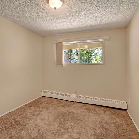 empty room here at sterling place apartment homes with beige walls and carpet, a window with blinds partially open, and a ceiling light. natural light creates a calm, inviting atmosphere.