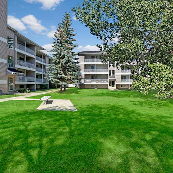 sunny courtyard here at sterling place apartment homes with lush green grass and a central path leading to beige apartment buildings. tall trees provide shade, creating a tranquil atmosphere.