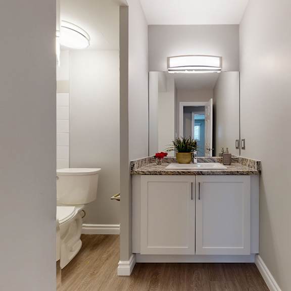 narrow bathroom here at wyndham crossing apartment homes with beige walls and wood floor, featuring a granite countertop with a plant and red flower. toilet partially visible to the left.