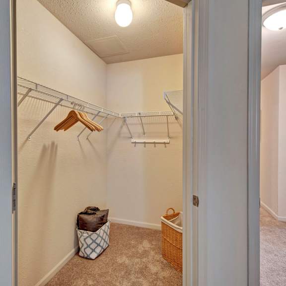 a spacious walk-in closet here at river’s cove featuring soft carpet, wire shelving, and organized storage, creating a bright, clean, and practical space.