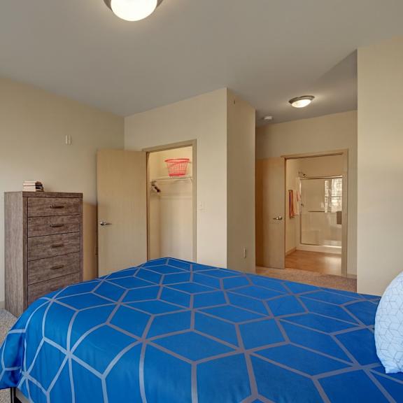 a cozy bedroom here at vue at pinnacle park with soft carpet, blue patterned bedding, a tall wood dresser, an open closet, and a nearby bathroom with a glass shower for a bright, practical layout.