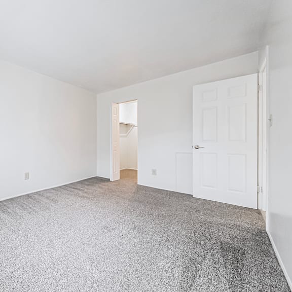 a room with a grey carpet and white walls.
