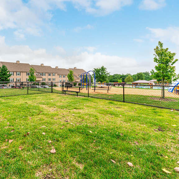 grassy dog park at renova of brunswick apartments, brunswick