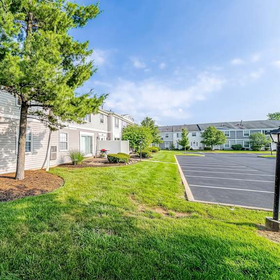 a grassy area with a tree and a parking lot in the background.