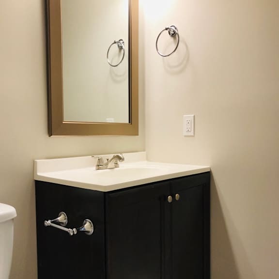 guest bathroom vanity and sink