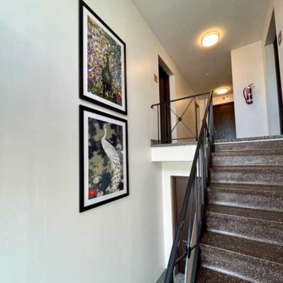 a staircase with a railing and two paintings on the wall