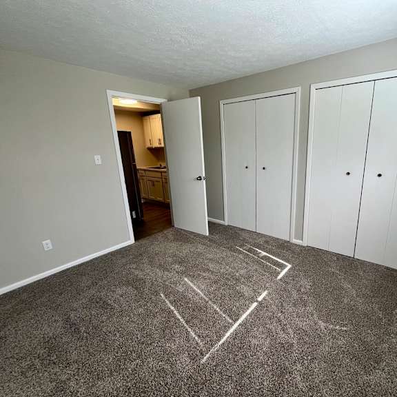 1 bedroom with carpet and white closets
