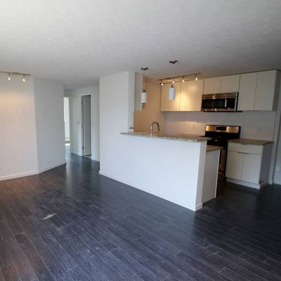 a room with a kitchen area in the background.