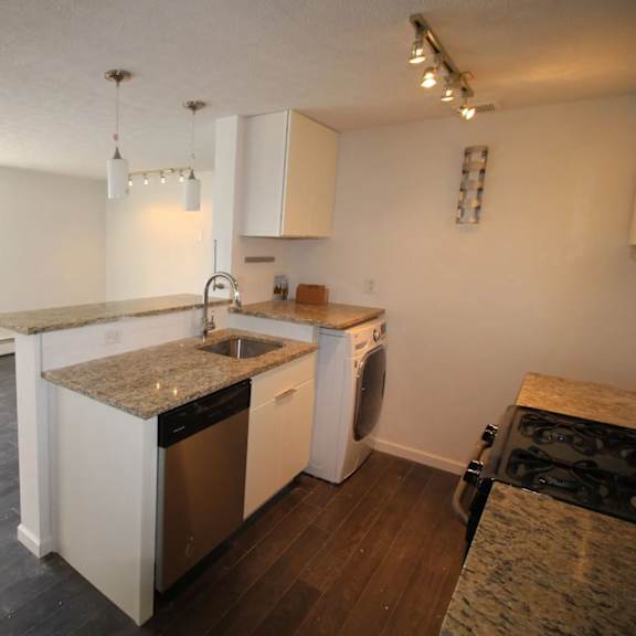 a kitchen with a sink, stove, and dishwasher.