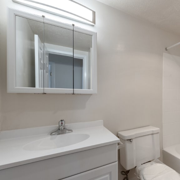 a bathroom with a sink toilet and a mirror
