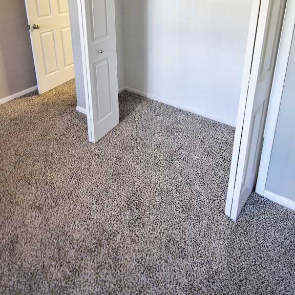 apartment bedroom closet.