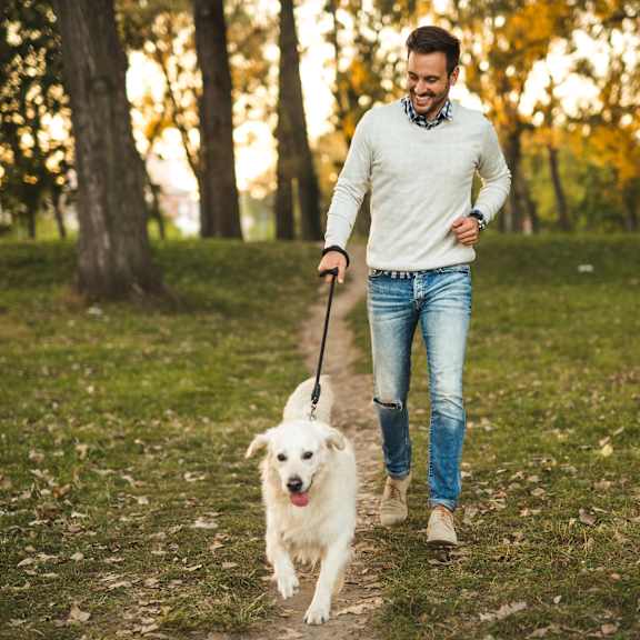 man walking dog